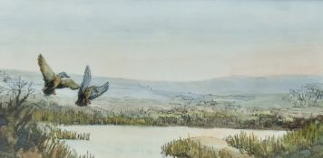 Barny (20th century) ink and watercolour, ducks in flight over a pond, signed lower centre, within a