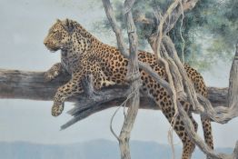 After Kim Donaldson (Zimbabwean b.1952) limited edition colour print African Leopard, signed and