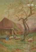T. Murray Bernard Blaydon (British 1864-1939) watercolour, 'Evening in late Autumn, A Warwickshire
