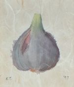 E.T (unknown, contemporary) ink and watercolour study of a bulb on mould-made paper, initialled E.