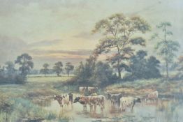 After Walter Norfolk (19th-20th Century) colour print, depicting cows in shallow river in a
