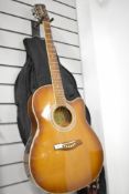 A Brunswick electro acoustic guitar , EAS40, sold with soft gig bag