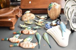 A set of 3 vintage ceramic flying ducks, largest w18cm, sold together with swallows and budgies ect,