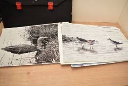 A portfolio of coloured photographs of fauna and flora by BT Knowles, (45)