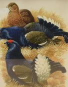 After David Binns (British 1935-2020) two colour ornithological prints, black grouse and puffins,