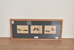 Artist unknown, an unusual mixed media triptych, watercolour and applied feathers depicting fighting