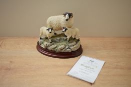 A Border Fine Arts limited edition figure group 'Rough Fell Ewe & Lambs' model number B1541 modelled