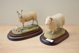A Border Fine Arts limited edition figure 'Cheviot Ram' model number L139, modelled by Ray Ayres,