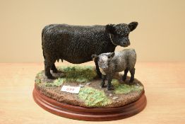 A Border Fine Arts limited edition figure group 'Galloway Cow & Calf Belted' model number B1260,