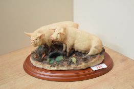 A Border Fine Arts animal group 'Mud Glorious Mud' model number A0453, to wooden base.
