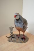 A hand carved and painted Red Legged Partridge study by Mike Wood, having date 'Jan 2003' and