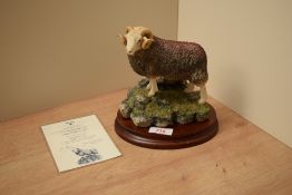 A Border Fine Arts limited edition figure 'Herdwick Tup' model number B0705, modelled by Ray