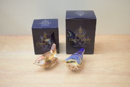 Two Royal Crown Derby bone china paperweights, 'Nuthatch' and 'Derby Wren', both having Imari