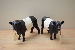 A pair of Beswick Pottery Galloway Cow studies (Belted) model number A6747.