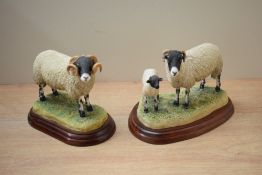 Border Fine Arts Sheep Breeds 'Swaledale Ram' model number A1243 sold alongside a Border Fine Arts