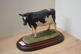 A Border Fine Arts figure 'Holstein Friesan Cow' modelled by Ray Ayres.