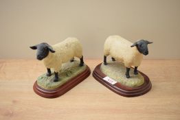 A Border Fine Arts 'Suffolk Tup' model number B0196 by Anne Wall sold alongside a Border Fine Arts