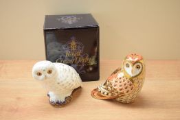 A pair of Royal Crown Derby bone china collectors guild exclusive paperweights, Snowy Owl and