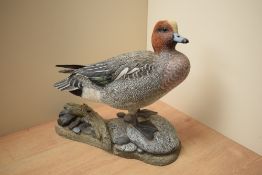 A hand carved and painted Wigeon study by Mike Wood, having date 'Jan 2004' and signature to