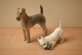 A Royal Copenhagen porcelain dog studies comprising Airedale Terrier model number 3319 and West