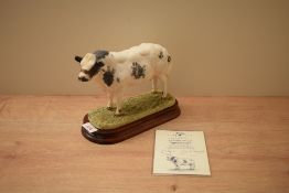 A Border Fine Arts limited edition figure 'Belgian Blue Bull', model number B0406, modelled by Ray
