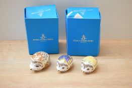 A Royal Crown Derby bone china special edition 'Mistletoe' paperweight for Goviers of Sidmouth