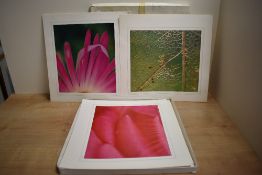 After Lord Snowdon, Antony Charles Robert Armstrong-Jones (British 1930-2017) An English Country