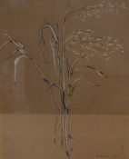 P A Murray (20th century) watercolour on coloured paper, botanical study of grass specimen with