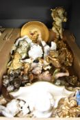 A carton of assorted cherubs