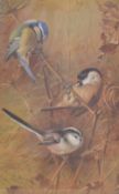 After Archibald Thorburn (British 1860-1935) a pair of reproduction colour prints 'Spring' Wrens