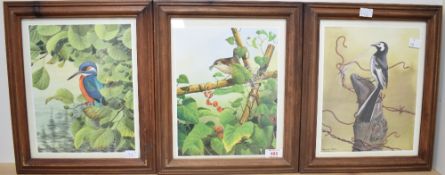 After Norman Arlott (British 1947-2022) three colour ornithological prints, each within modern