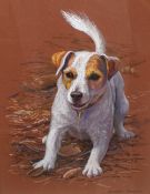 Jennifer Buxton (British 20th/21st century) coloured pastels on paper, portrait of a Jack Russell