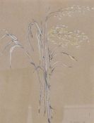 P A Murray (20th century) watercolour on coloured paper, botanical study of grass specimen with