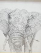 C E Rich (British, 20th Century) pencil drawing of an elephant, signed lower right, within card