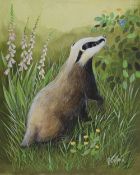 R Duffield (20th century) watercolour/body colour, curious badger and butterfly amongst foliage ,