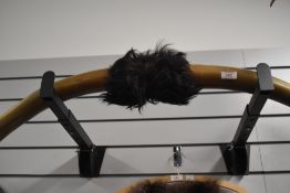 A set of highland cattle horns measuring 84cm tip to tip