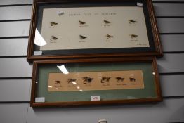 Two framed sets of salmon flies