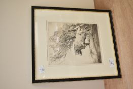 A solitary standing bull, etching, signed bottom right, w18cm, 30cm overall