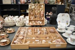 A family of sea shells, to include Lambis Chiraga, Tibia Powisi and Hebrew Cowe