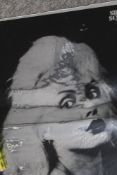 A Blondie Poster - Debbie Harry - measures - pressed on foil and not the easiest to photograph -