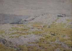 Local interest* Graham Hoggart (British 1882-1964) watercolour 'Harter Fell, Cumbria' rocky pastoral