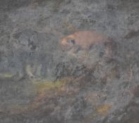 A 19th century English school oil on canvas, fox stalking a pheasant within a woodland setting,