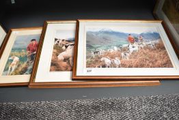 A group of pictures depicting hunting scene and sheep ect (5)