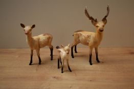 A Beswick Pottery animal trio comprising Stag (Standing) model number 981, Doe model number 999A and