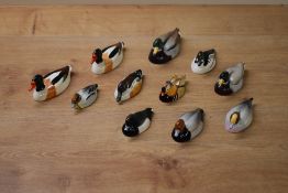 A group of eleven Beswick Pottery Peter Scott approved Duck studies comprising Teal, Wigeon,
