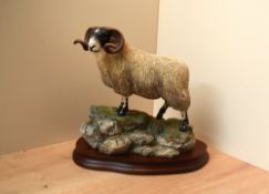 A Border Fine Arts limited edition 'Blackie Tup', model number B0534 by Ray Ayres, limited edition