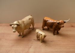 A Beswick Pottery Charolias Bull model number 2463A designed by Alan Maslankowski in cream gloss