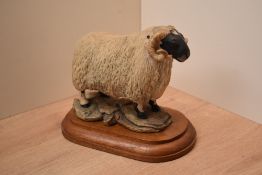 A Border Fine Arts limited edition figure 'Black Face Tup' modelled by Mairi Lang limited edition