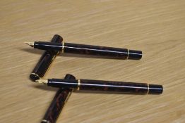 Two Parker Rialto converter fill fountain pens in Aqua Dusk