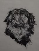 Local interest*Jo McGrath (local contemporary) charcoal and chalk, head and neck study of a dog,